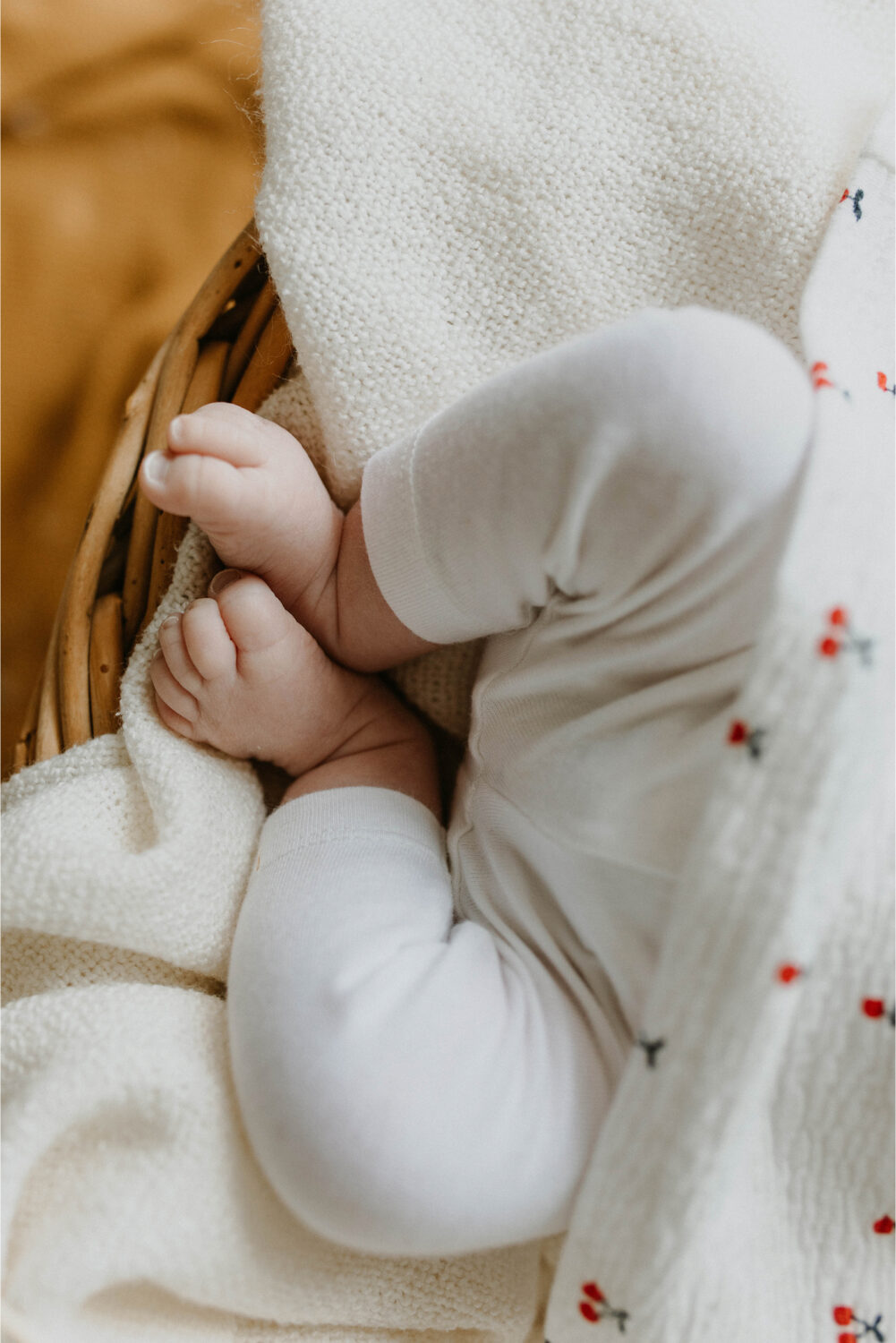 photo-naissance-intemporels-2