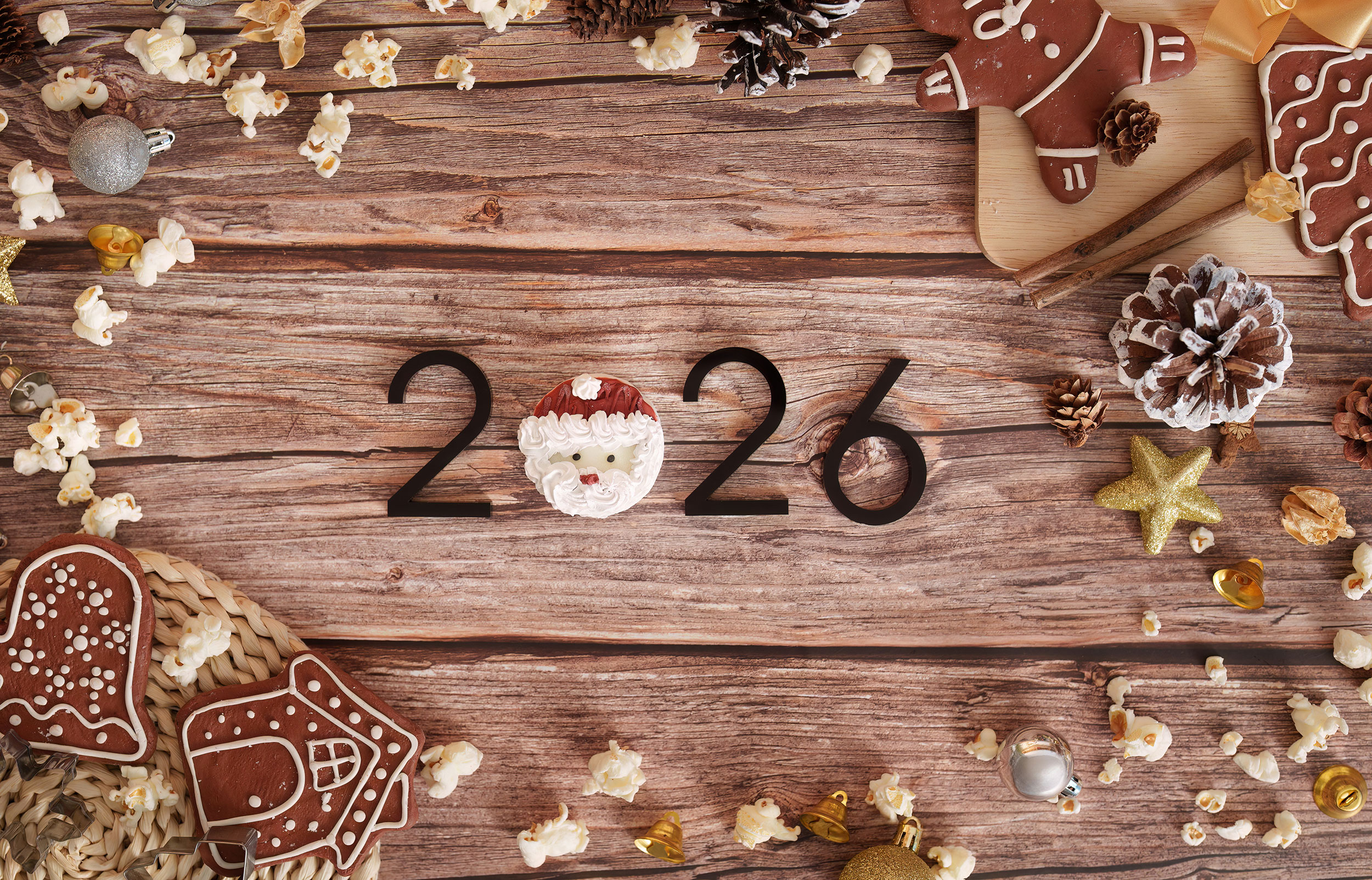 joyeuses-fetes-camille