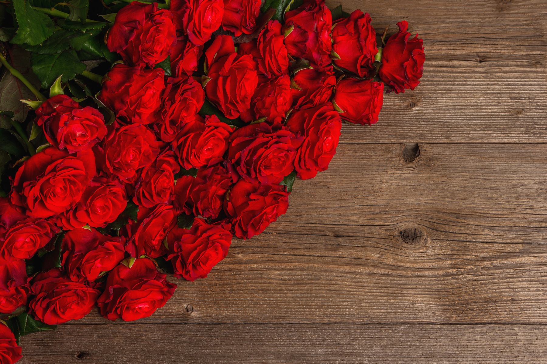 bouquet-de-rose-rouges