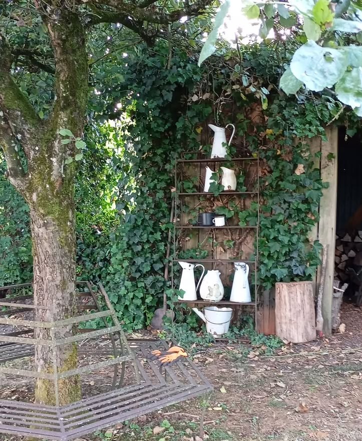 Étagère de brocs émaillés blancs sur un mur de lierre dans un jardin à Bertrix